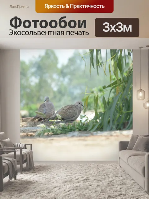 Фотообои Птица