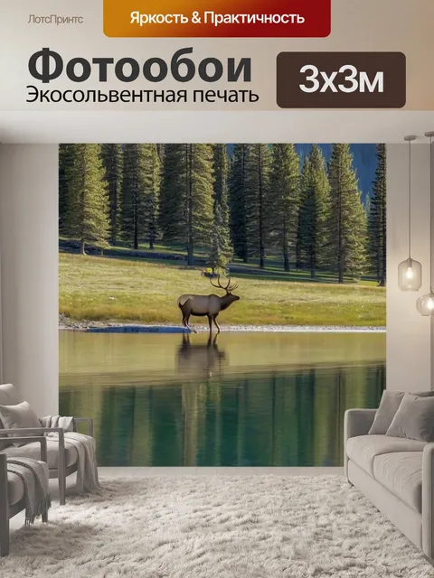 Фотообои около реки