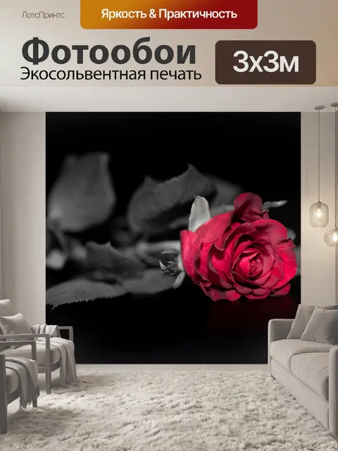 Фотообои Роза