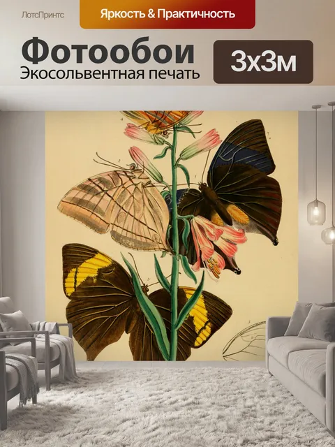 Фотообои Бабочки Винтажное Искусство