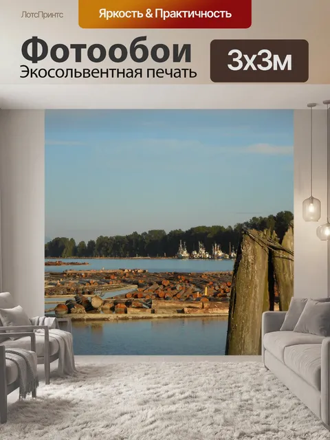 Фотообои Стволы деревьев