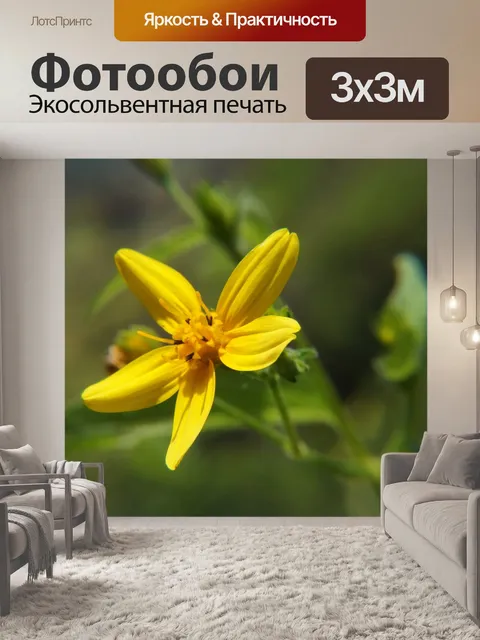 Фотообои Цветы
