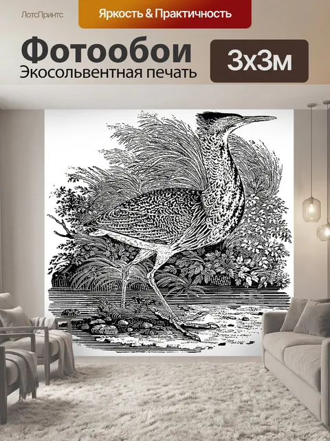 Фотообои Выпь