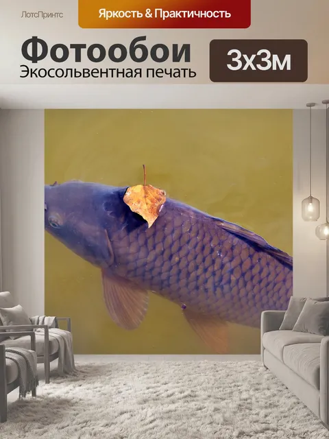 Фотообои Карп