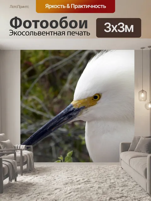 Фотообои Снежная цапля