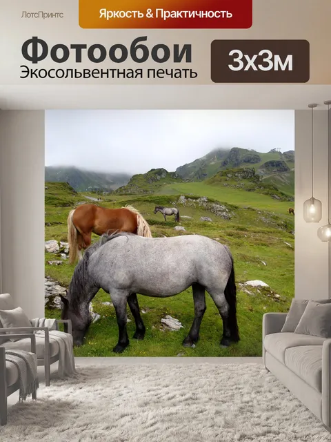 Фотообои Лошадь