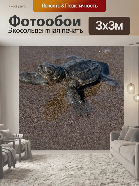 Фотообои Песок