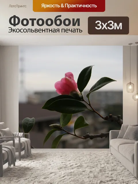 Фотообои Камелия