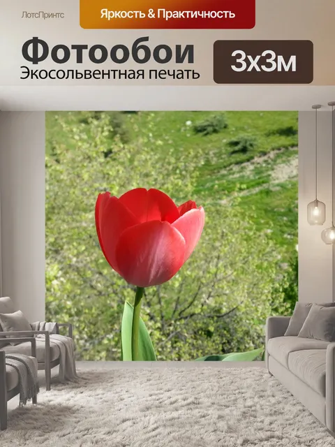 Фотообои Природа
