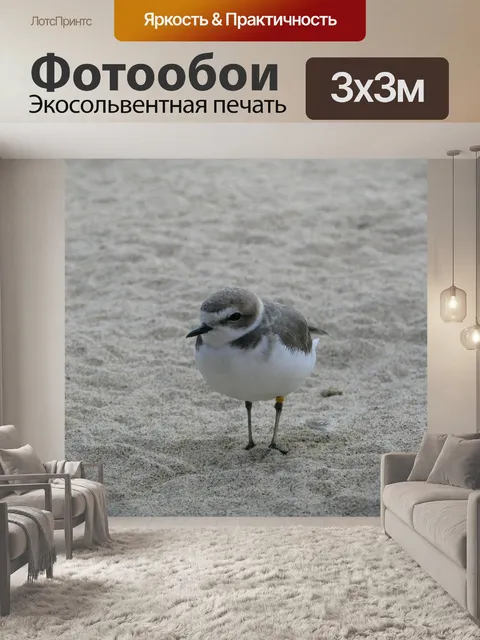 Фотообои Птица