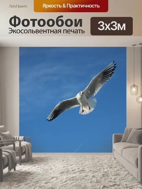 Фотообои Чайка