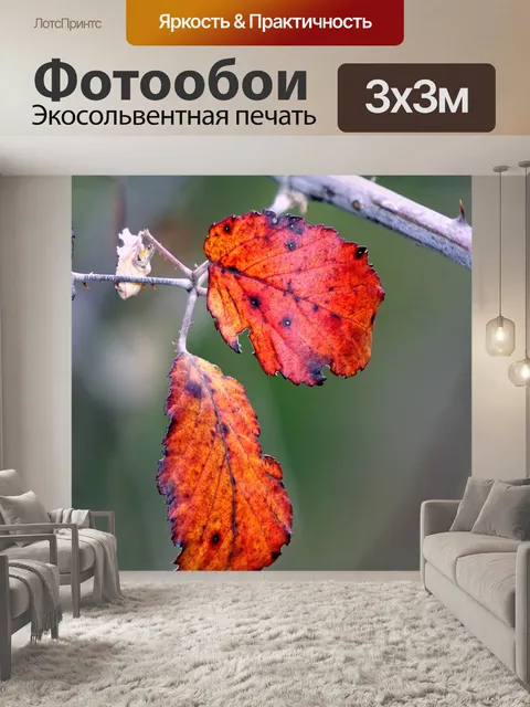 Фотообои Листы