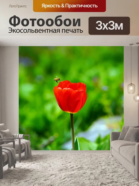 Фотообои Цветок