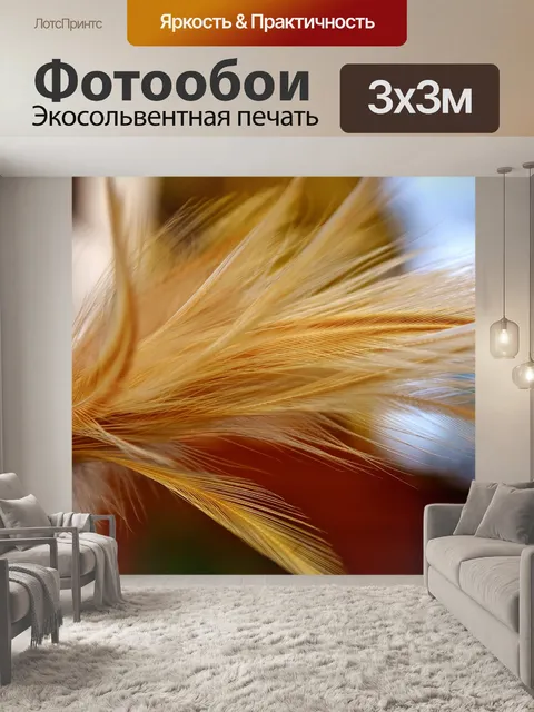 Фотообои Перья