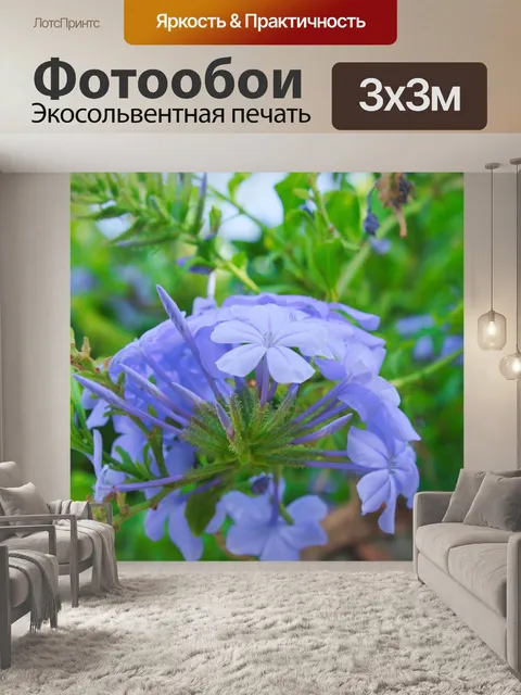 Фотообои Летом
