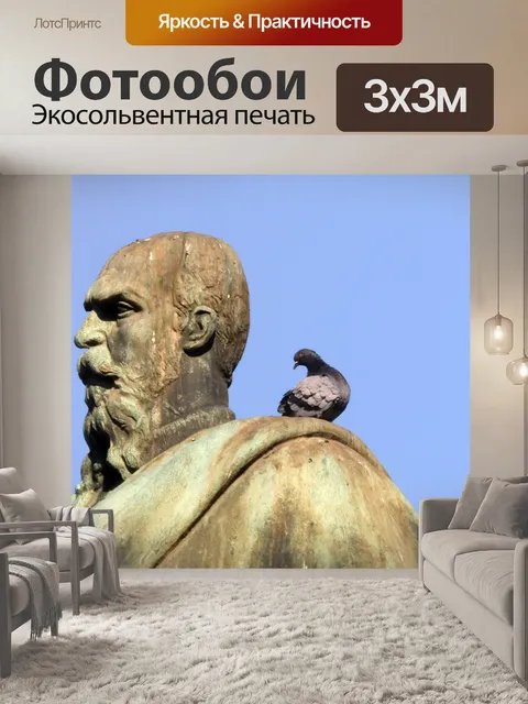Фотообои голубь на статуе в Риме