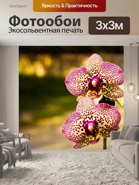 Фотообои Цветы
