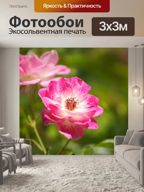 Фотообои Розовый и белый сад Роуз