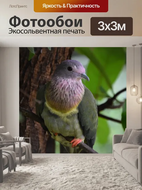 Фотообои Птицы