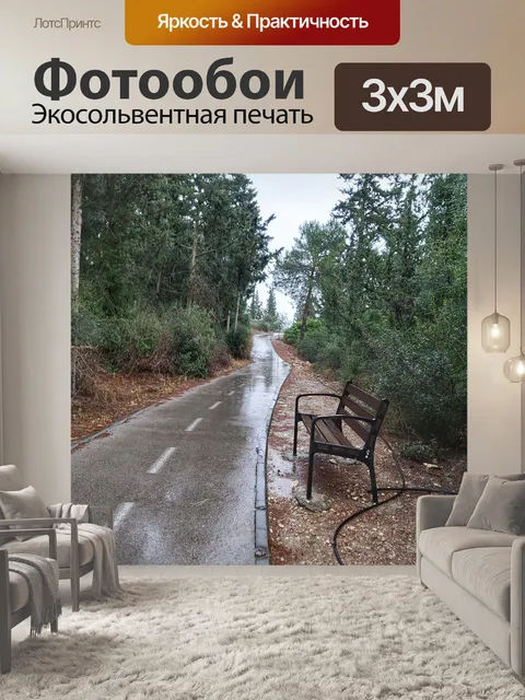 Фотообои Мокрая велосипедная лесная тропа