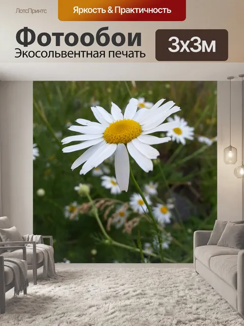 Фотообои Цветы
