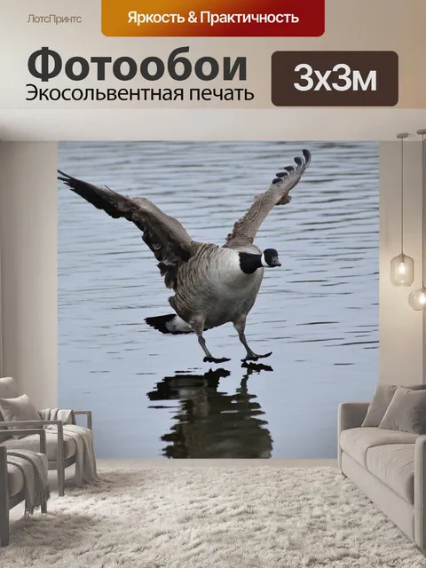 Фотообои Птица