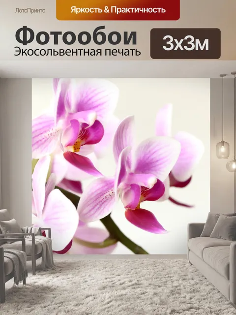 Фотообои Орхидея