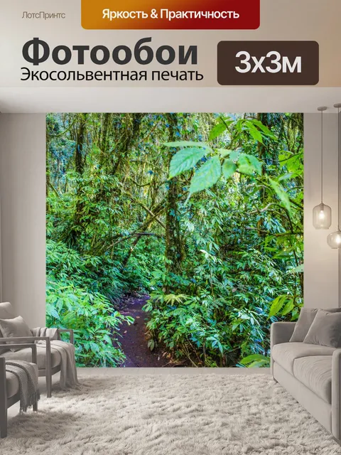 Фотообои Тропический лес в Дои Интанон, Чиангмай