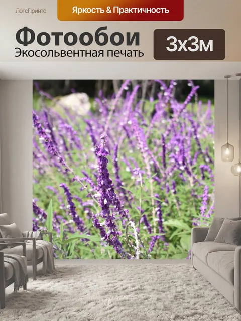 Фотообои Лаванда