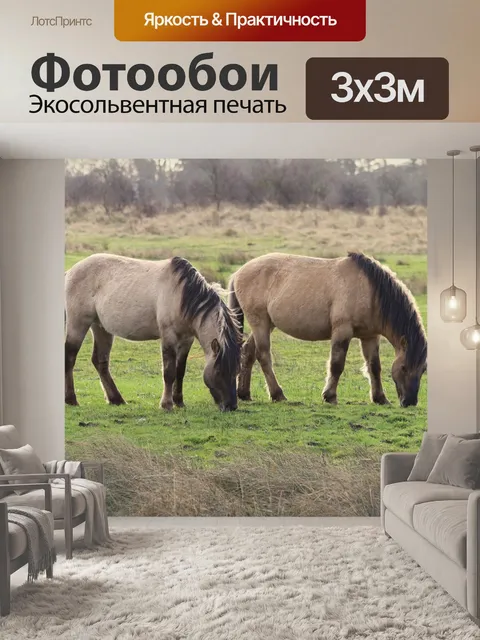 Фотообои Лошадь