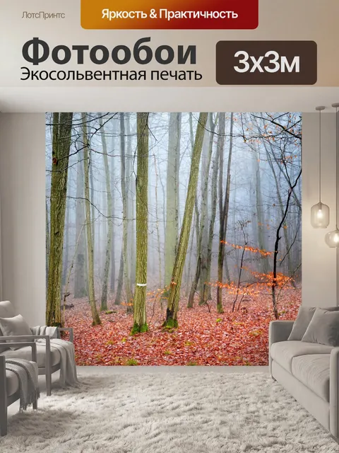 Фотообои Лес
