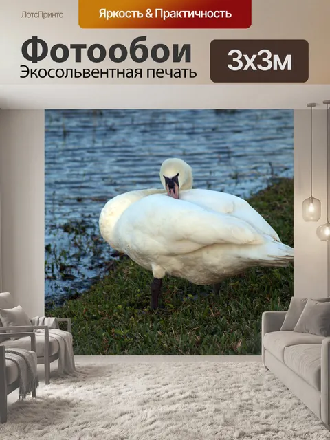 Фотообои Мама Лебедь