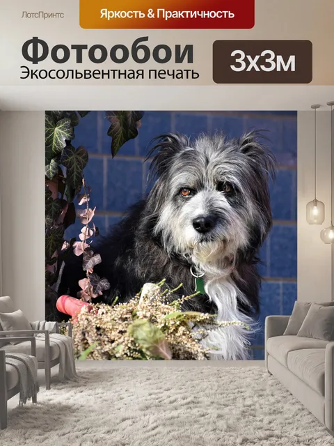 Фотообои Собака