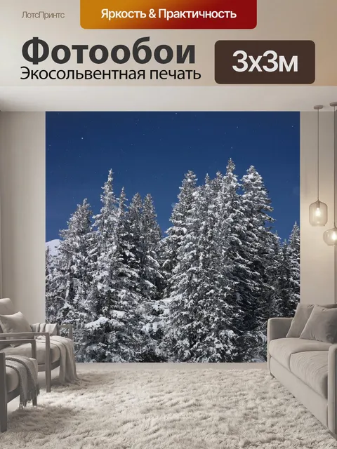 Фотообои Еловый лес