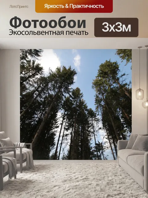 Фотообои Лес
