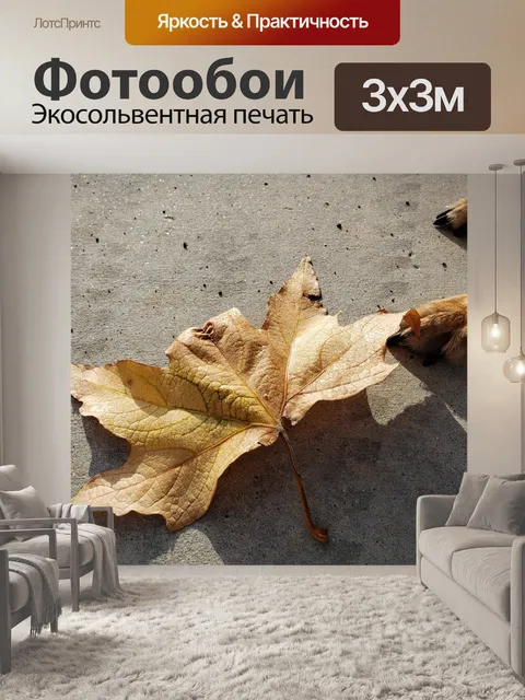 Фотообои Осенний лист, собачья лапа