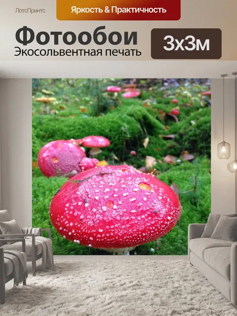 Фотообои Грибы