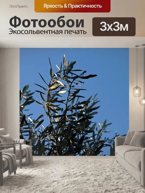 Фотообои солнечный свет на листьях оливкового дер