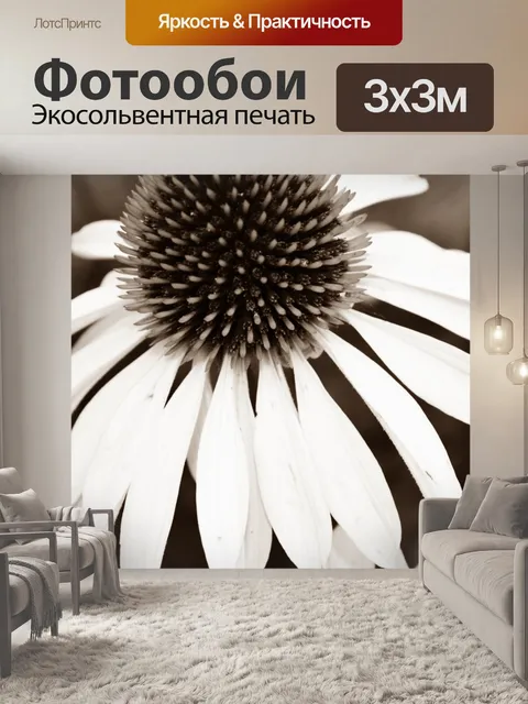 Фотообои Черно-белый