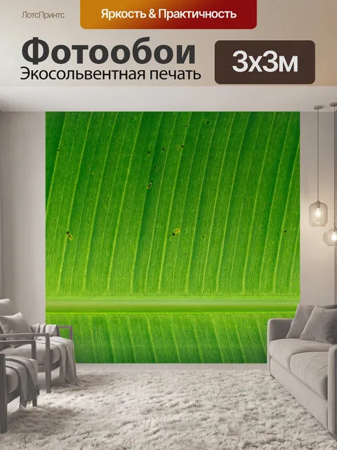 Фотообои Рост