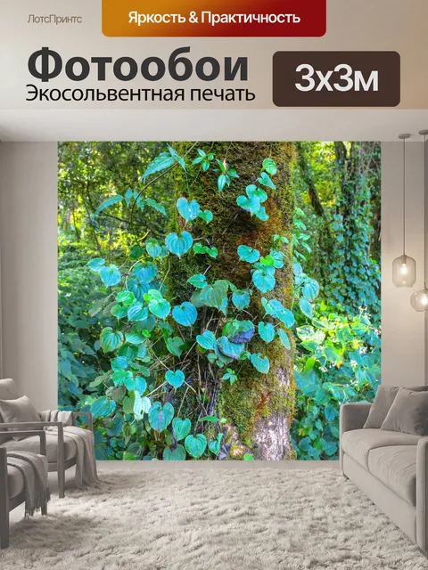 Фотообои Тропический лес в Дои Интанон, Чиангмай