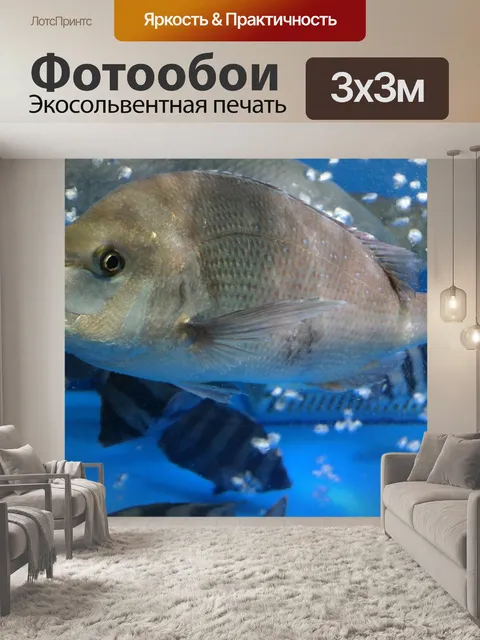 Фотообои Лещ