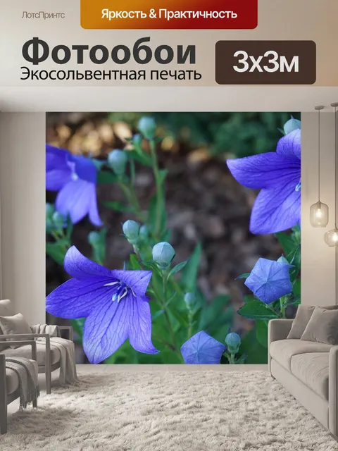 Фотообои Расцветает