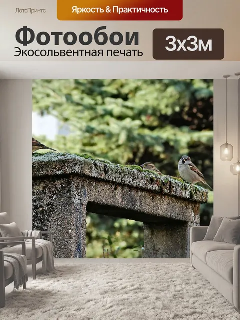 Фотообои Проход