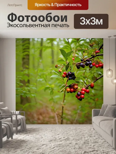 Фотообои лес с дикими ягодами и другими съедобными растениями