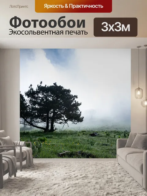 Фотообои Туман