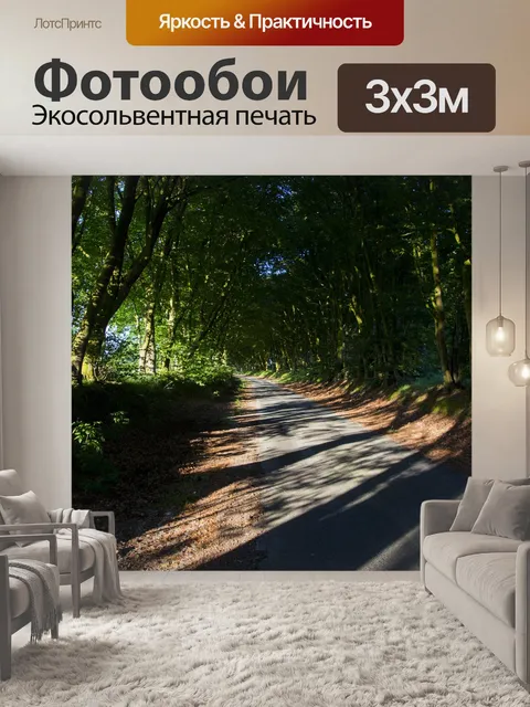 Фотообои Дорожка