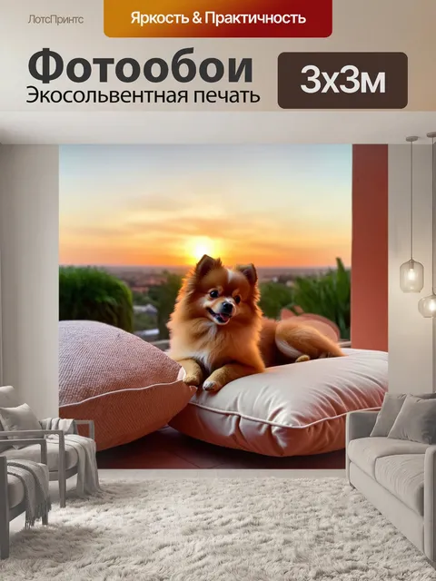 Фотообои сцена на терассе, где померанский шпиц, щенок, лежит на подушках с видом на закат