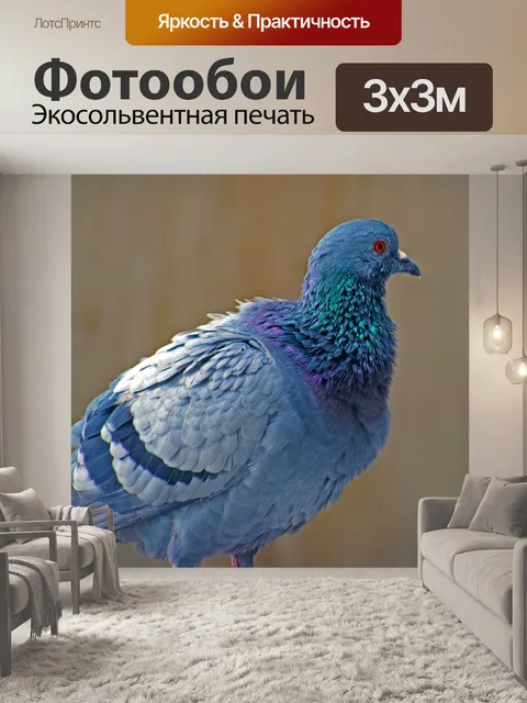Фотообои Птица