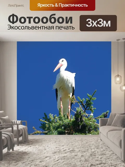Фотообои Аист